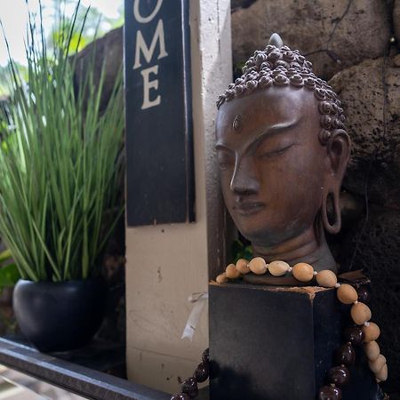 Unit 18 Maui Ohana Modern Studio Wailuku Kültér fotó
