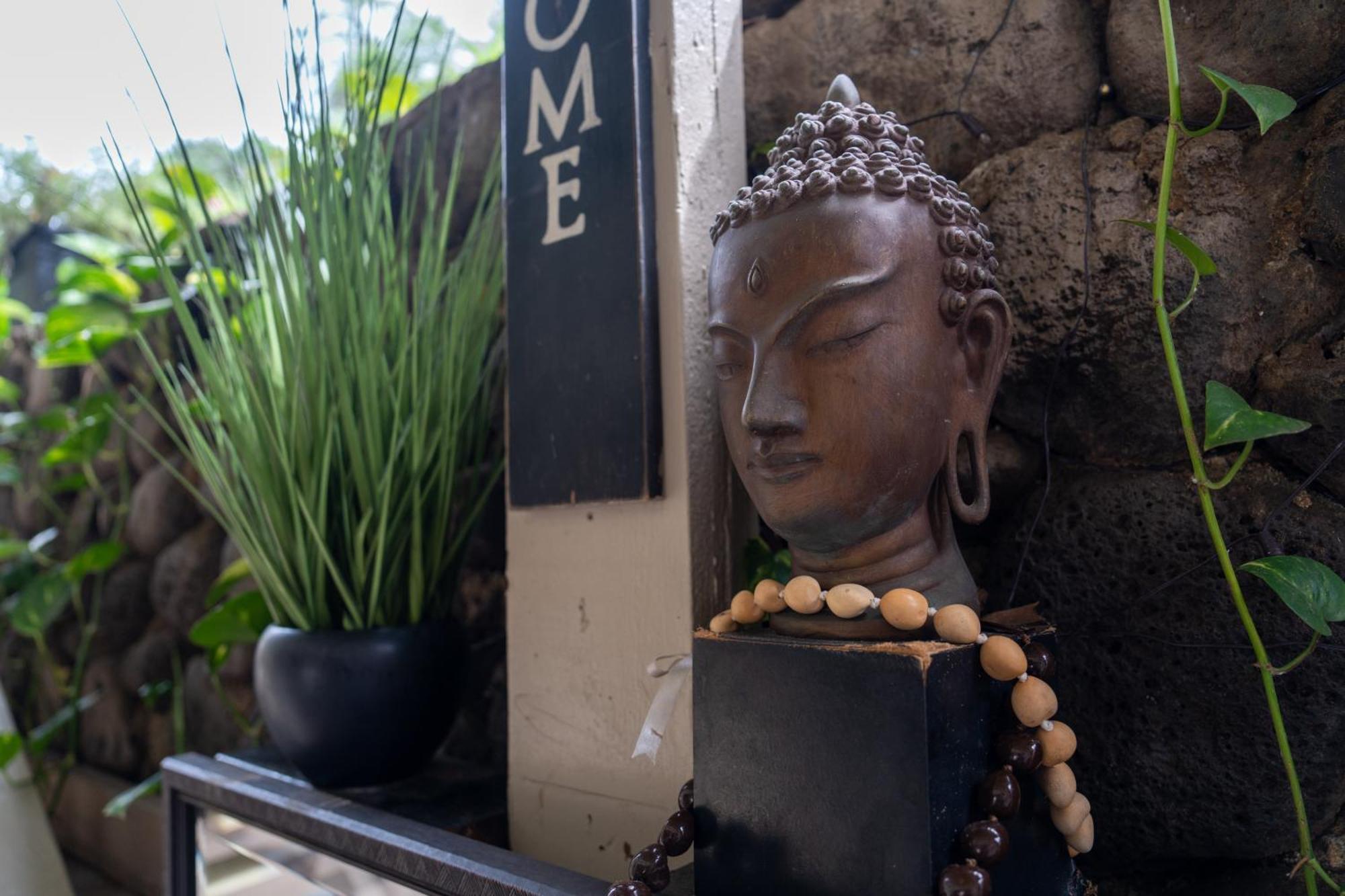 Unit 18 Maui Ohana Modern Studio Wailuku Kültér fotó